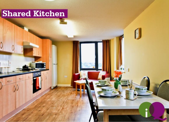 Shared Kitchen 3